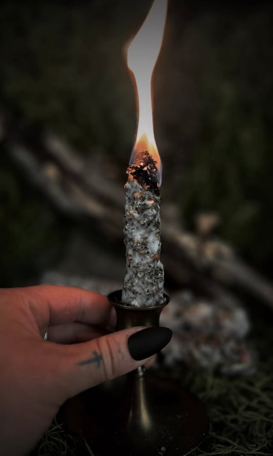 MULLEIN TORCH - AUTUMN