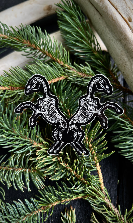 HORSE SKELETONS VINYL STICKER