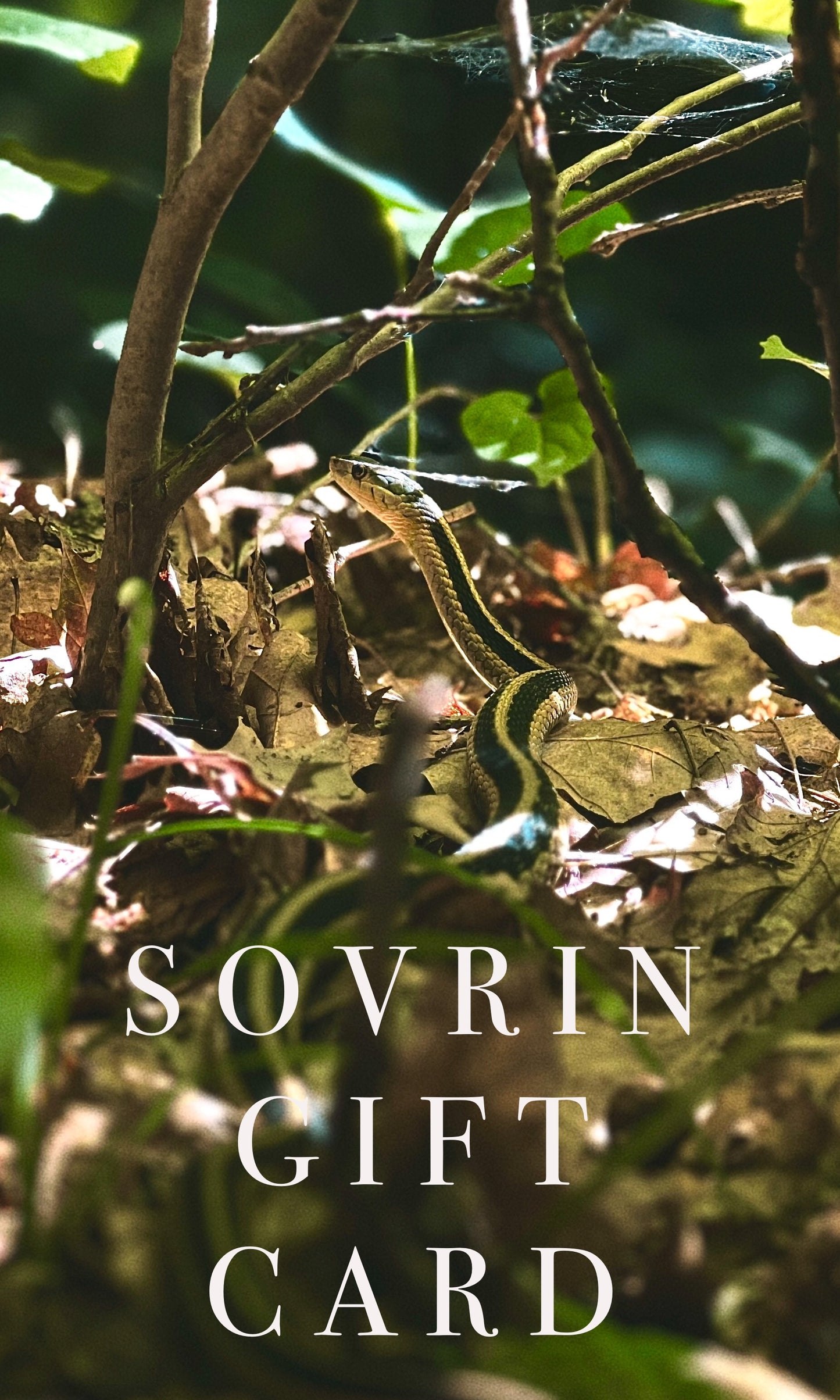 SOVRIN GIFT CARD
