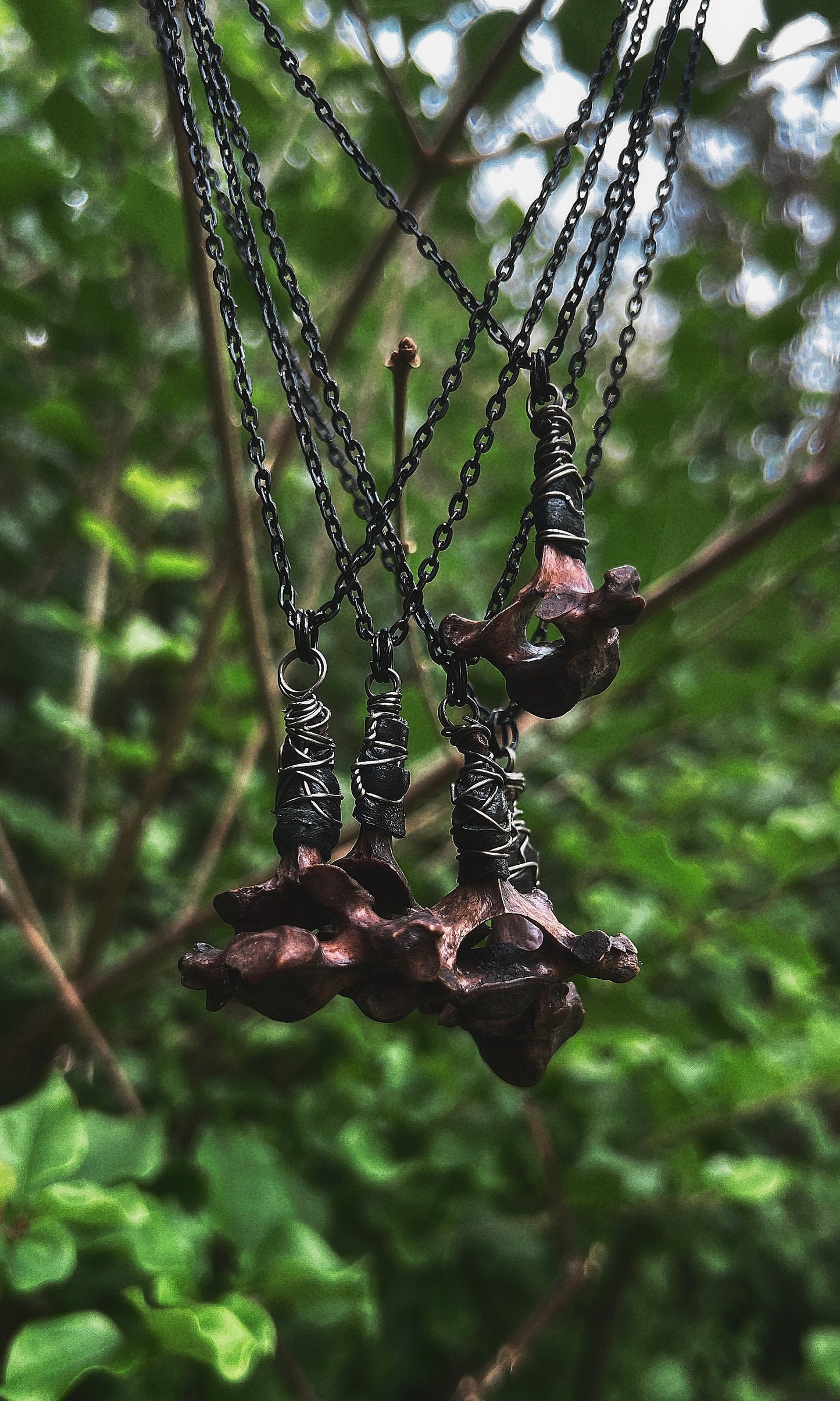 LTD RUN BLACK WALNUT DYED VERTEBRAE NECKLACE