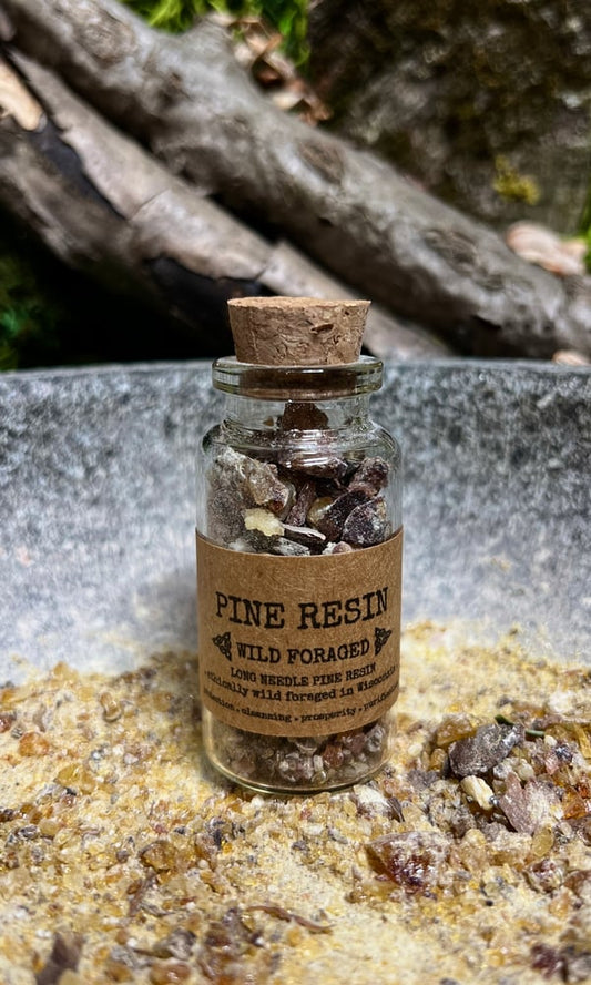 WILD FORAGED PINE RESIN INCENSE