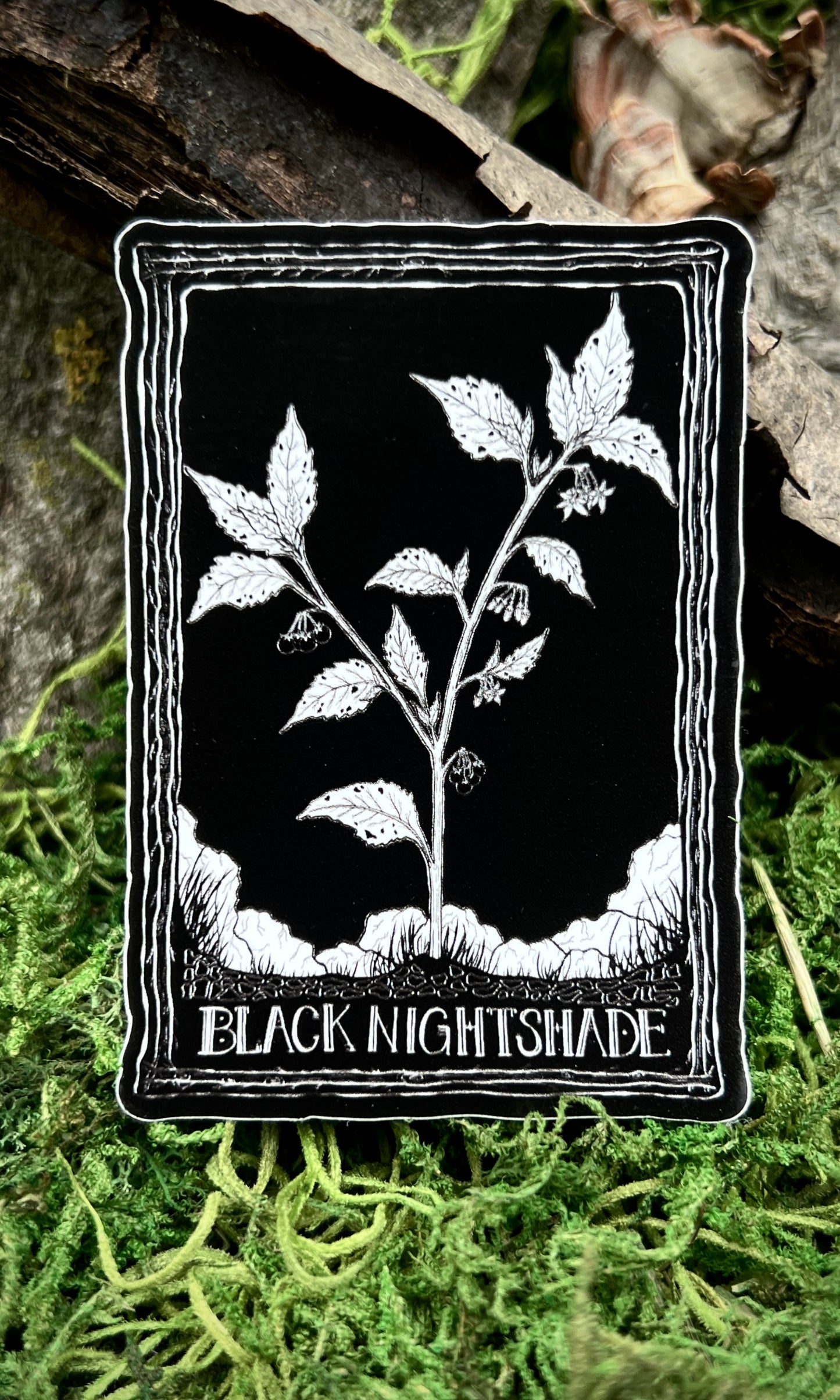 SOVRIN X FORAGERCHEF BLACK NIGHTSHADE STICKER