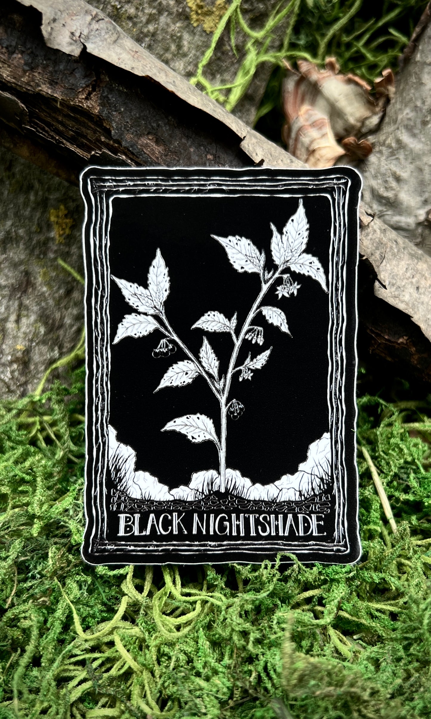 SOVRIN X FORAGERCHEF BLACK NIGHTSHADE STICKER