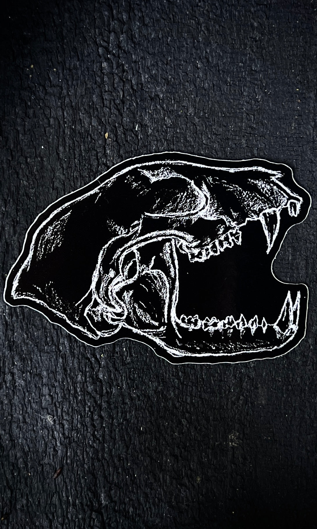 RACCOON SKULL VINYL STICKER