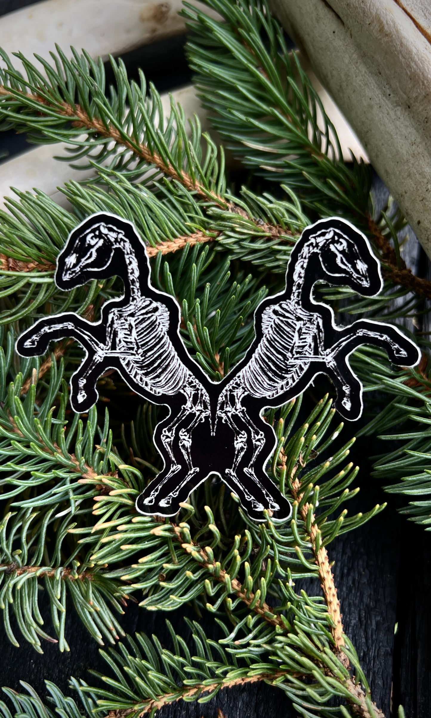 HORSE SKELETONS VINYL STICKER