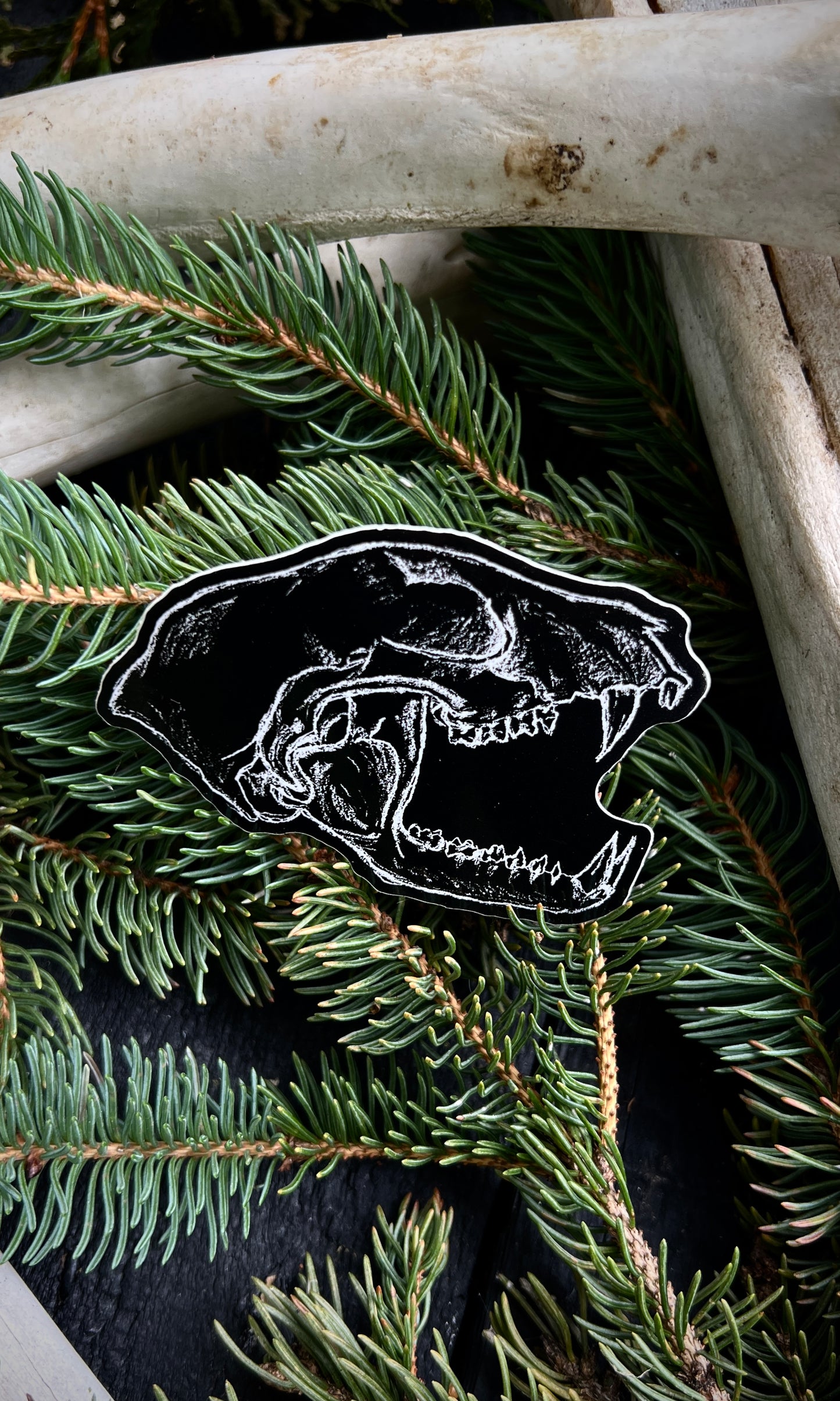 RACCOON SKULL VINYL STICKER