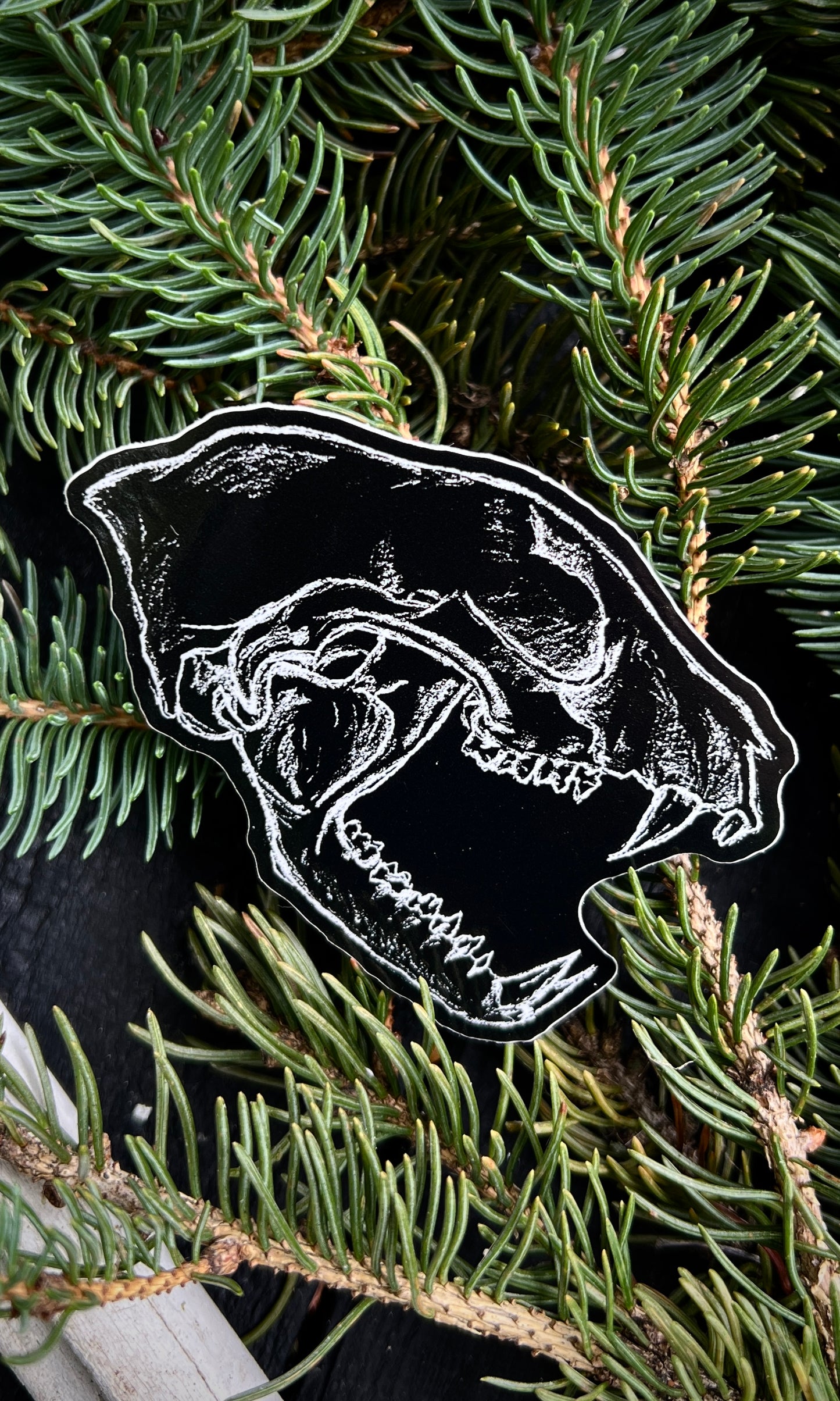 RACCOON SKULL VINYL STICKER