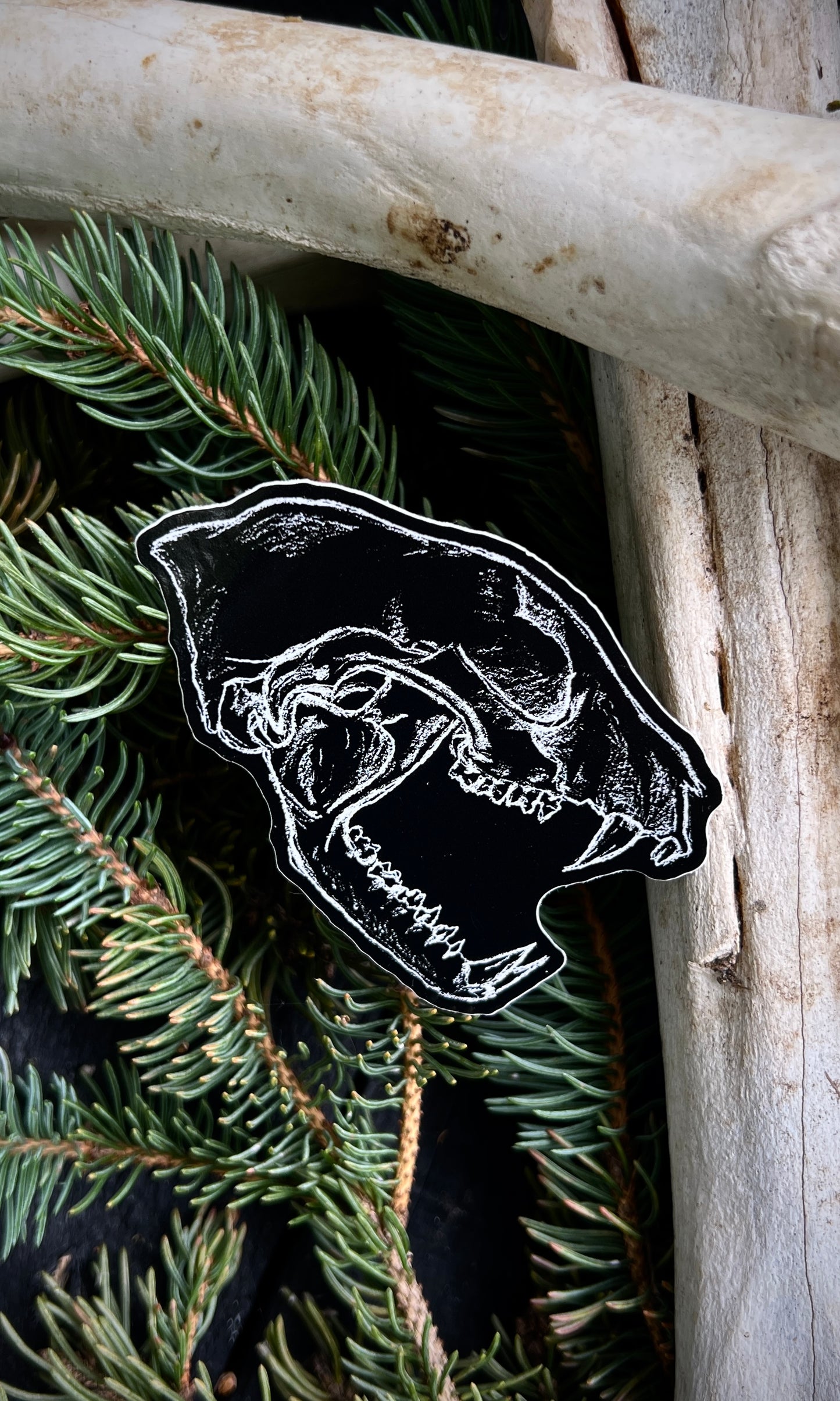 RACCOON SKULL VINYL STICKER