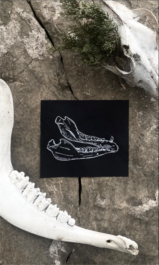 JAWBONE PATCH